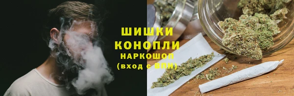 ешки Арсеньев