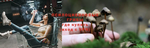 тгк Армянск