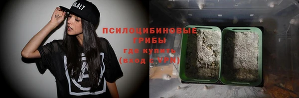 тгк Армянск