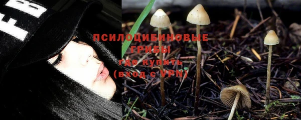 ешки Арсеньев