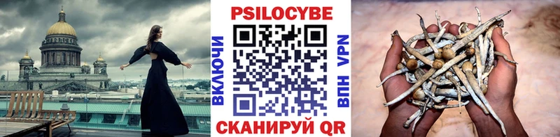 darknet телеграм  Белоусово  Псилоцибиновые грибы мицелий 